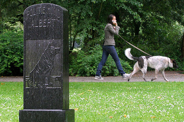 standbeelden politiehond albert